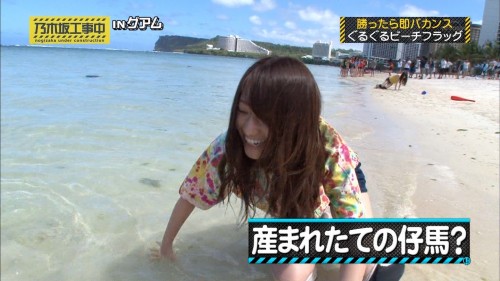 乃木中グアム ビーチフラッグ「桜井産まれたての仔馬のよう」